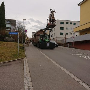 Umzug Oetwil am See